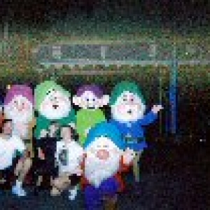 sevendwarfs