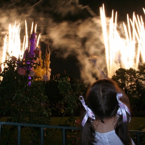 Wishes