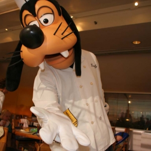 Goofy wants to shake hands.