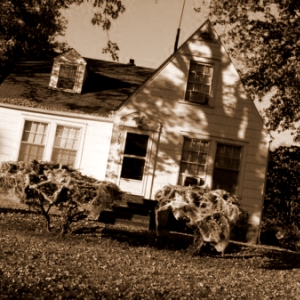 sepia house