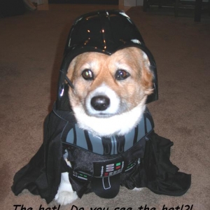 Arf Vader