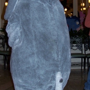 Eeyore's Tail