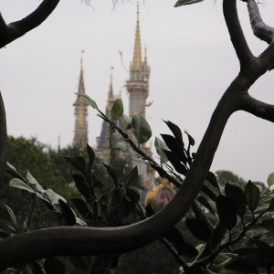 Castle for Swiss Family tree