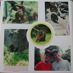 Zoo