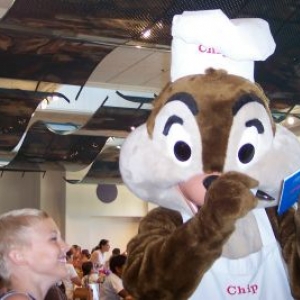 Chip