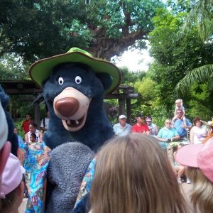 Baloo!