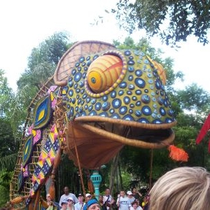 Thats a big lizard