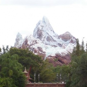 expedition everest site 11-05
