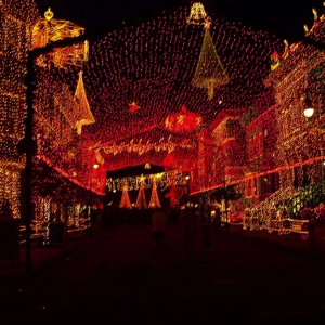 Entrance to Osborne lights