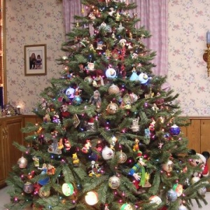 2005 71/2ft tree