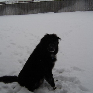 maxsnow