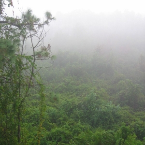 Mist2small