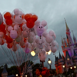 Mnsshp-2016-016