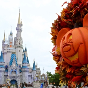 Mnsshp-2016-017