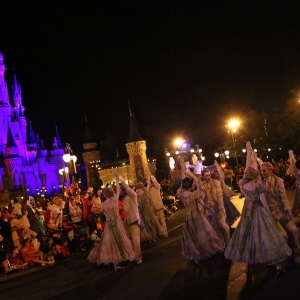 Mnsshp-2016-052