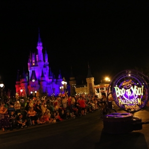 Mnsshp-2016-064