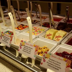 Vanellopes-sweet-treats-016