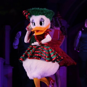 Mickeys-very-merry-christmas-party-2016-074