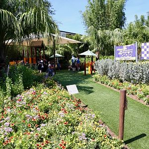 Flower-Garden-Festival-2017-019