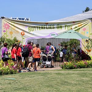 Flower-Garden-Festival-2017-085