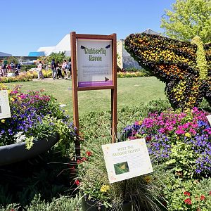 Flower-Garden-Festival-2017-086