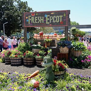 Flower-Garden-Festival-2017-090