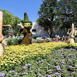 Flower-Garden-Festival-2017-112