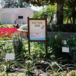 Flower-Garden-Festival-2017-113