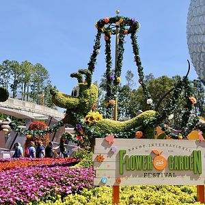 Flower-Garden-Festival-2017-121