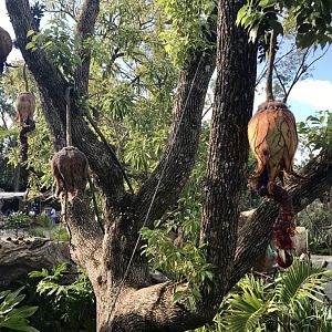 Pandora-World-of-AVATAR-023