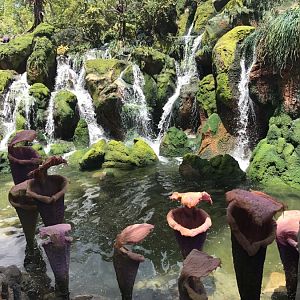 Pandora-World-of-AVATAR-029