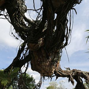 Pandora-World-of-AVATAR-038