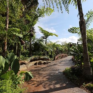 Pandora-World-of-AVATAR-039