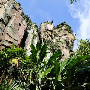 Pandora-World-of-AVATAR-040