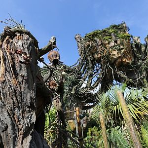 Pandora-World-of-AVATAR-049