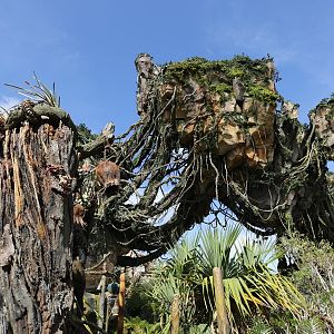 Pandora-World-of-AVATAR-051