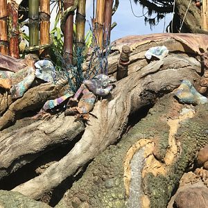 Pandora-World-of-AVATAR-053