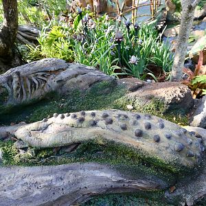 Pandora-World-of-AVATAR-068