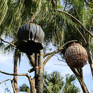 Pandora-World-of-AVATAR-070