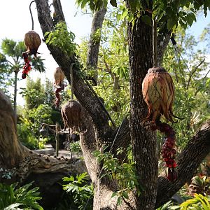 Pandora-World-of-AVATAR-071