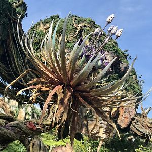 Pandora-World-of-AVATAR-073