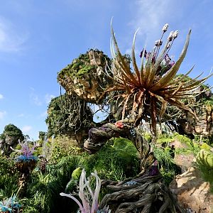 Pandora-World-of-AVATAR-074