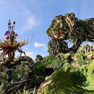 Pandora-World-of-AVATAR-076