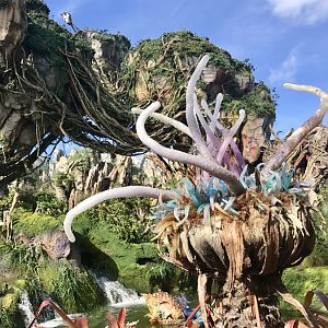 Pandora-World-of-AVATAR-077