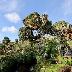 Pandora-World-of-AVATAR-081