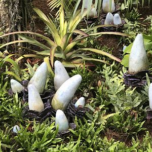 Pandora-World-of-AVATAR-089