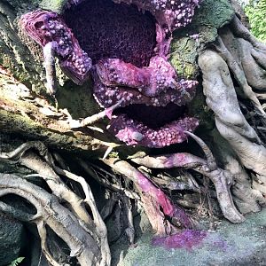 Pandora-World-of-AVATAR-093