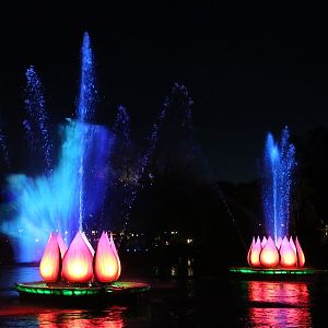 Rivers-of-Light-035