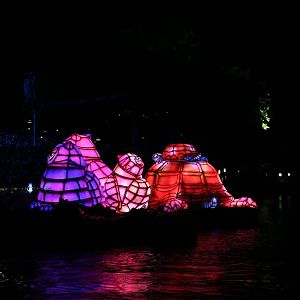 Rivers-of-Light-038