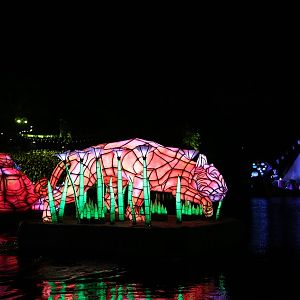 Rivers-of-Light-041